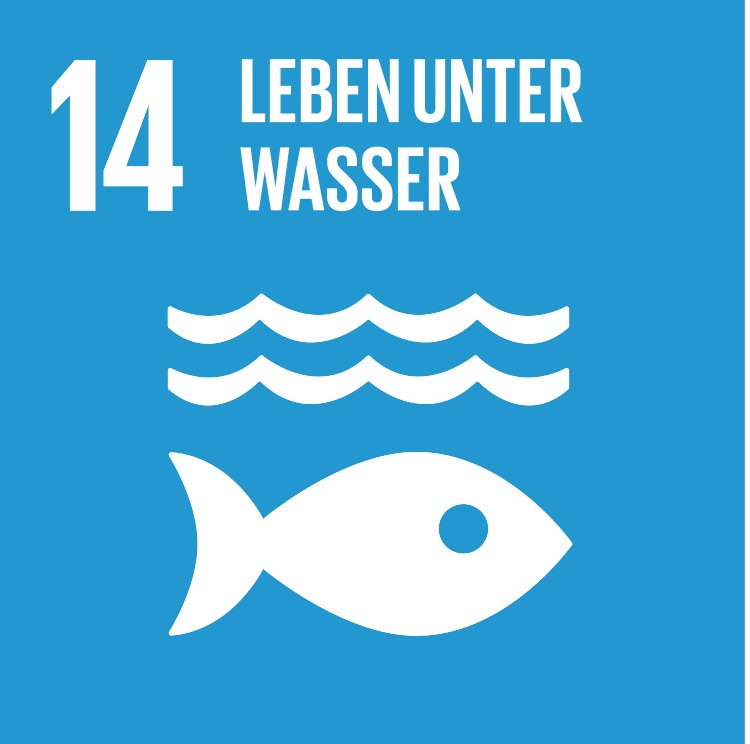 SDG 14 – Leben unter Wasser