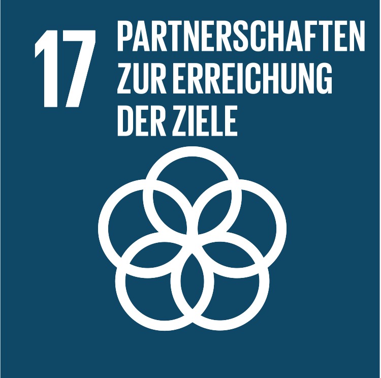 SDG 17 – Partnerschaften zur Erreichung der Ziele